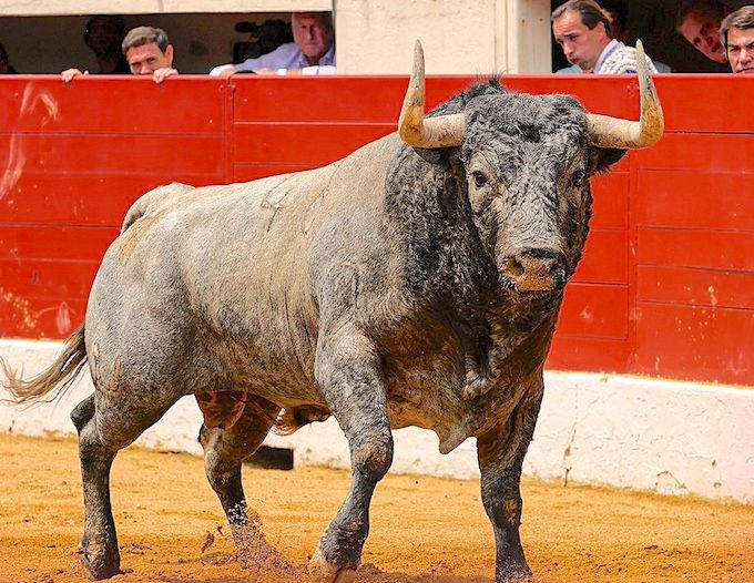 TOROS-TOROS – Les cartels de la Feria de Vic-Fezensac